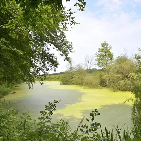 公寓 Jagdschloss Zu 10 霍恩宁多夫