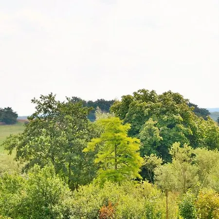 Jagdschloss Zu 10 公寓