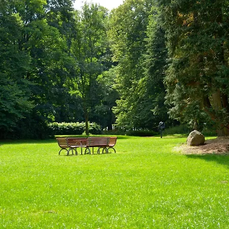 Jagdschloss Zu 10 公寓 霍恩宁多夫