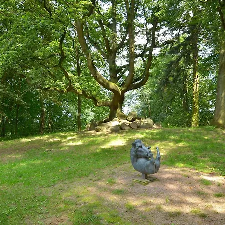 Jagdschloss Zu 10 公寓 *